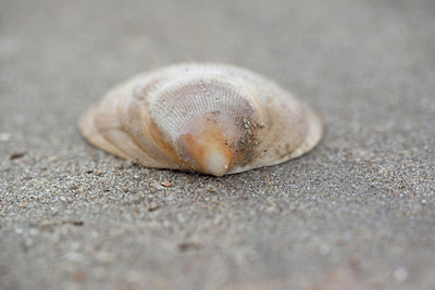 BUITEN BEELD Foto: 92052