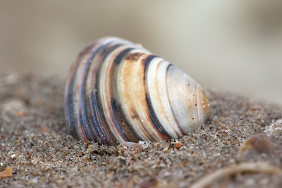 BUITEN BEELD Foto: 92055