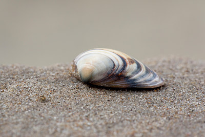 BUITEN BEELD Foto: 92061