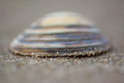 BUITEN BEELD Foto: 92063
