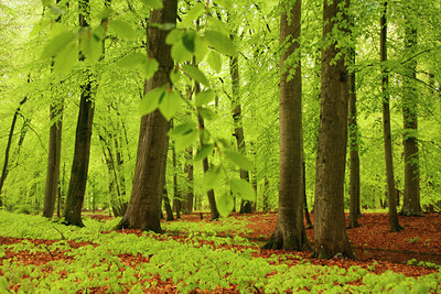 BUITEN BEELD Foto: 92092