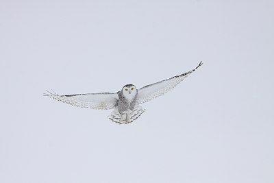 BUITEN BEELD Foto: 92109