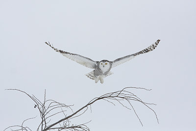 BUITEN BEELD Foto: 92117