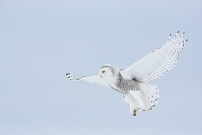 BUITEN BEELD Foto: 92123