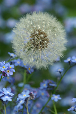 BUITEN BEELD Foto: 92178