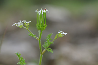 BUITEN BEELD Foto: 92216