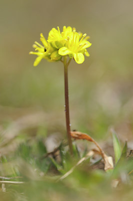 BUITEN BEELD Foto: 92231