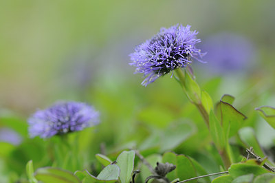 BUITEN BEELD Foto: 92284