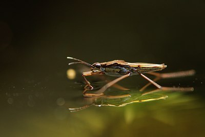 BUITEN BEELD Foto: 92308
