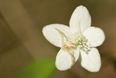 BUITEN BEELD Foto: 92315