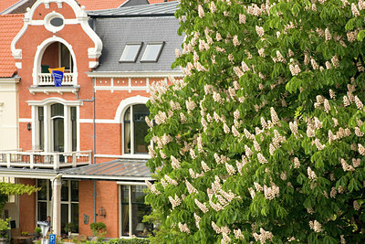 BUITEN BEELD Foto: 92323