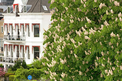 BUITEN BEELD Foto: 92324