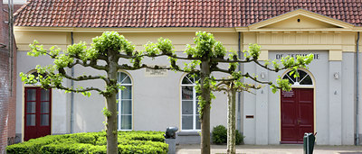 BUITEN BEELD Foto: 92327