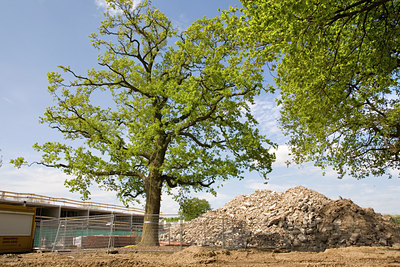 BUITEN BEELD Foto: 92328