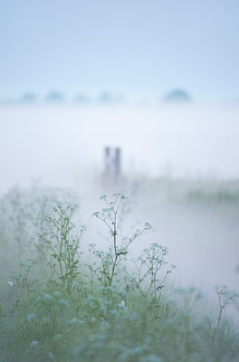 BUITEN BEELD Foto: 92350