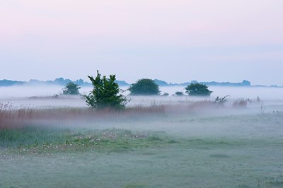 BUITEN BEELD Foto: 92354