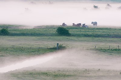 BUITEN BEELD Foto: 92366