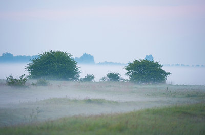 BUITEN BEELD Foto: 92367