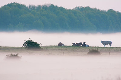 BUITEN BEELD Foto: 92371