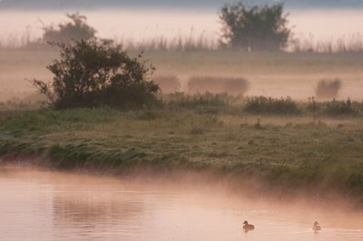 BUITEN BEELD Foto: 92375