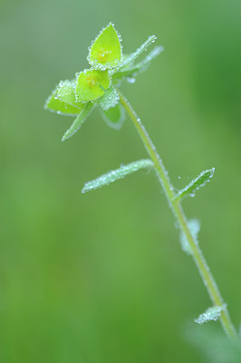 BUITEN BEELD Foto: 92376