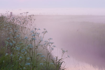 BUITEN BEELD Foto: 92380