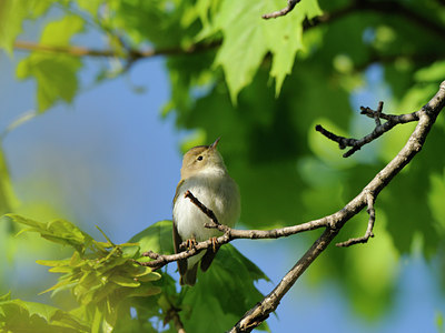 BUITEN BEELD Foto: 92425