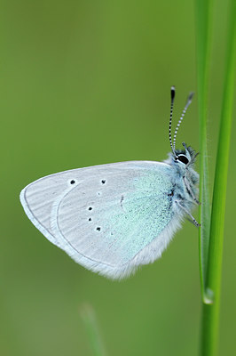 BUITEN BEELD Foto: 92428
