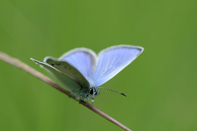 BUITEN BEELD Foto: 92430