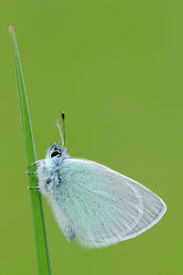 BUITEN BEELD Foto: 92435
