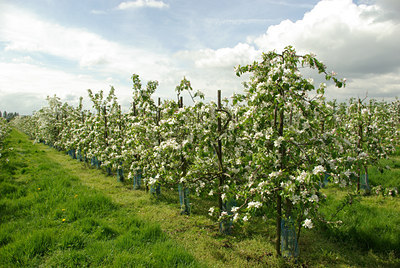 BUITEN BEELD Foto: 92565