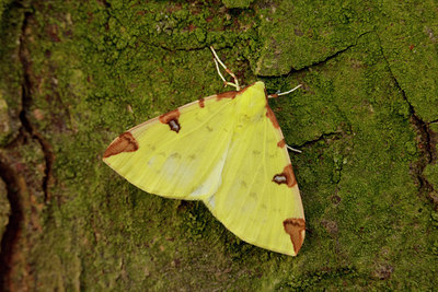 BUITEN BEELD Foto: 92572