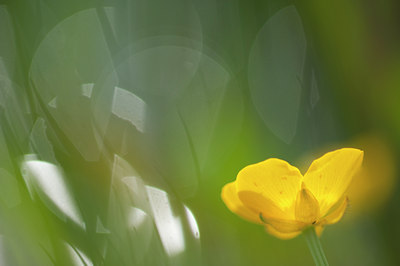 BUITEN BEELD Foto: 92604