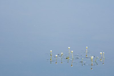 BUITEN BEELD Foto: 92615