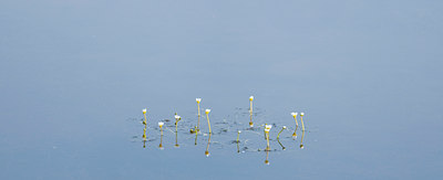 BUITEN BEELD Foto: 92617