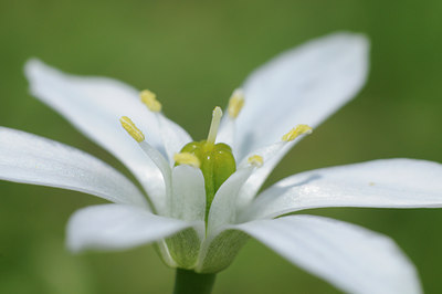 BUITEN BEELD Foto: 92625