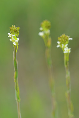 BUITEN BEELD Foto: 92630