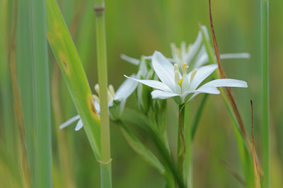 BUITEN BEELD Foto: 92674