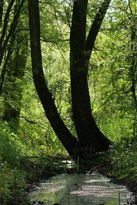 BUITEN BEELD Foto: 92681