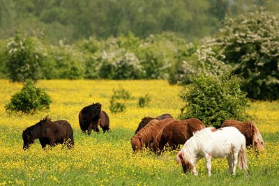 BUITEN BEELD Foto: 92720