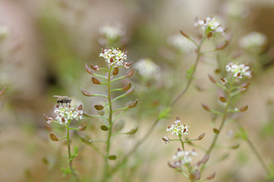 BUITEN BEELD Foto: 92779