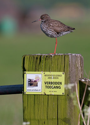 BUITEN BEELD Foto: 92813