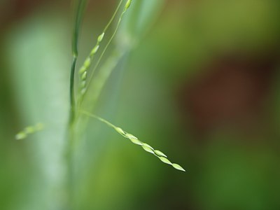BUITEN BEELD Foto: 92840