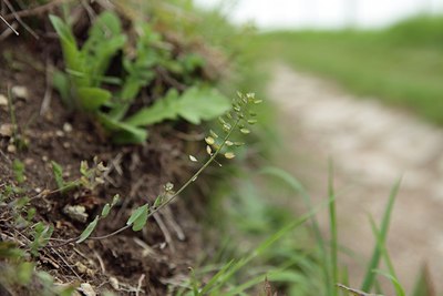 BUITEN BEELD Foto: 92855