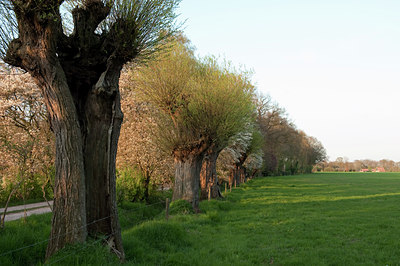 BUITEN BEELD Foto: 92877