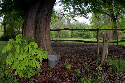 BUITEN BEELD Foto: 92879