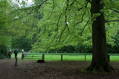 BUITEN BEELD Foto: 92881