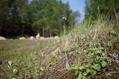 BUITEN BEELD Foto: 92910