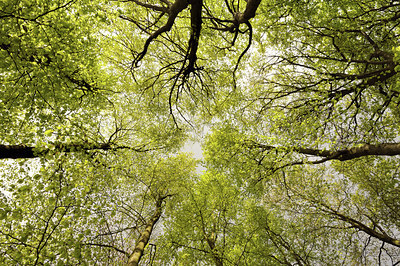 BUITEN BEELD Foto: 92951