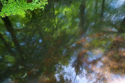 BUITEN BEELD Foto: 93145